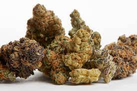 Mail Order Marijuana: The Smartest and Most Discreet Way to Get Your Weed